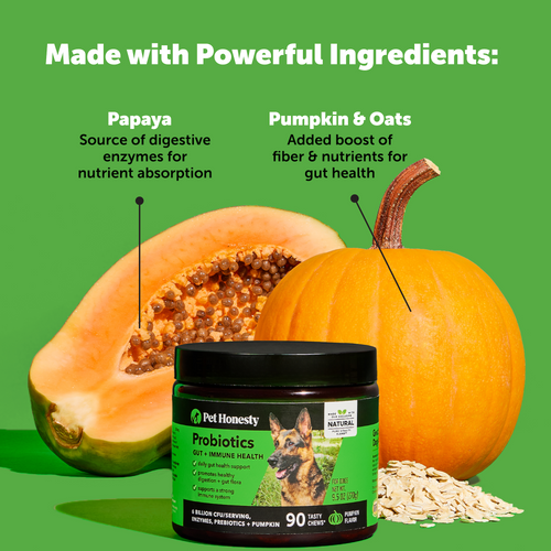 Pet Honesty Probiotics For Dogs – 180ct Gut Health & Immune Support Soft Chews
