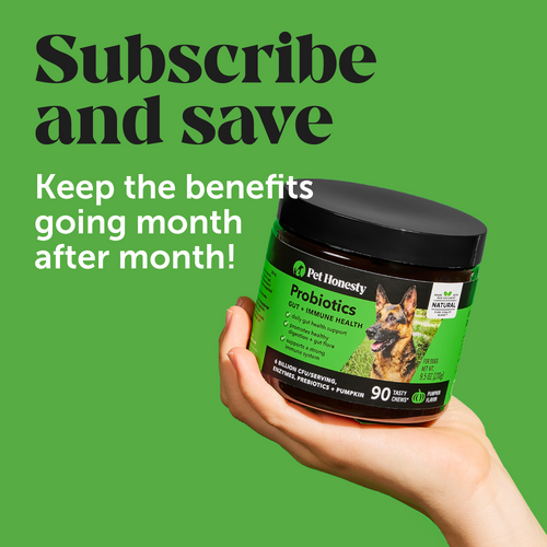 Pet Honesty Probiotics Gut + Immune Health Pumpkin Flavor for Dogs