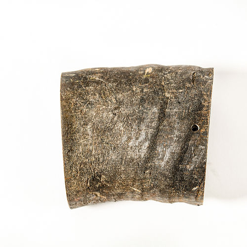 QT Dog Water Buffalo Horn Section Treat