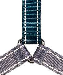 Dolans Wonder Walker Reflective Teal