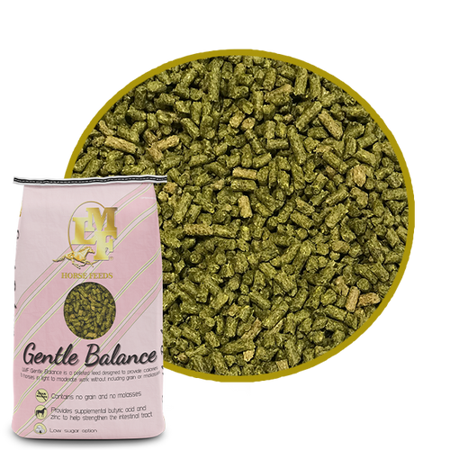LMF Gentle Balance