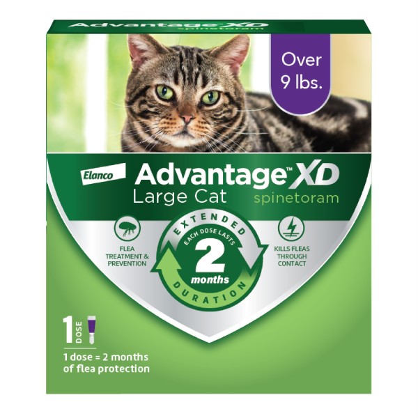 Advantage XD Large Cat Flea Prevention & Treatment For Cats - Kent