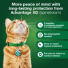 Advantage XD Small Cat Flea Prevention & Treatment For Cats