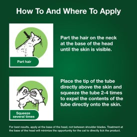 Advantage XD Small Cat Flea Prevention & Treatment For Cats