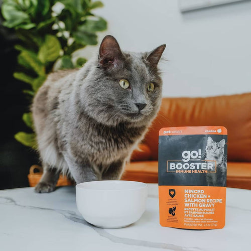 Petcurean Go! Solutions Booster Minced Chicken + Salmon with Gravy for Immune Health Wet Cat Food