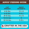 Primal Pet Foods Freeze-Dried Raw Nuggets Cat Food Beef & Salmon Recipe