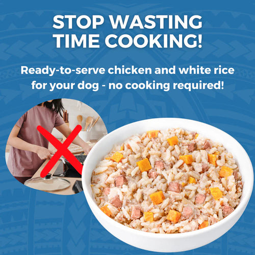 Koha Limited Ingredient Wet Bland Diet Lamb & White Rice Recipe for Dogs