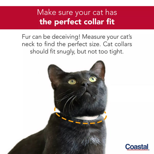 Coastal Pet Safe Cat Heartbreaker Adjustable Cat Collar with Breakaway Heart Buckle