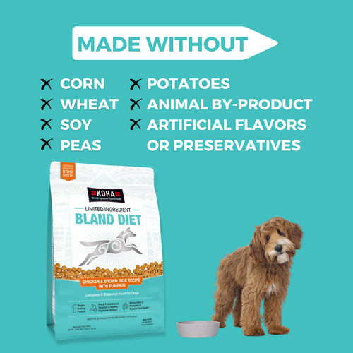 Koha Limited Ingredient Dry Bland Diet Chicken & Brown Rice Recipe with Pumpkin for Dogs