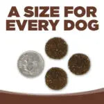 NutriSource® Large Breed Beef Meal & Barley Recipe Healthy Affordable Dry Dog Food