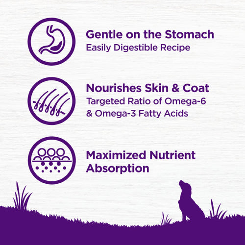 Wellness Complete Health Grain Sensitive Skin & Stomach Salmon & Rice Recipe Dog Food