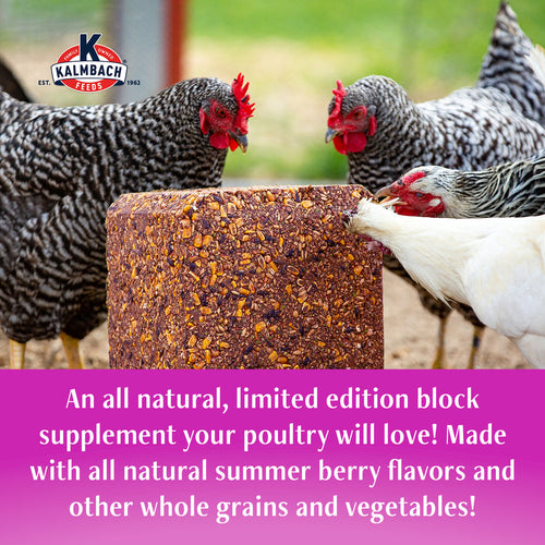 Kalmbach Summer Berry Henhouse Reserve® Block