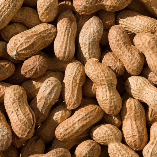 Peanuts in Shell