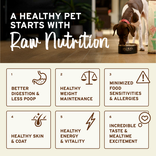 Primal Freeze-Dried Raw Nuggets Dog Food Beef Recipe