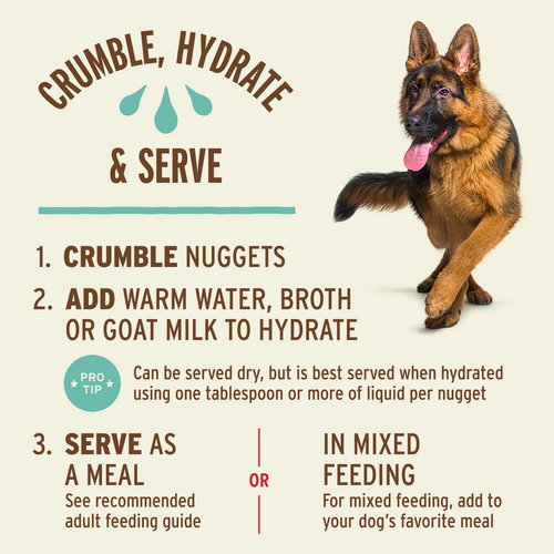 Primal Freeze-Dried Raw Nuggets Dog Food Beef Recipe