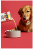 Brutus Bone Broth - Chicken Wet Dog Food