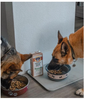 Brutus Bone Broth - Chicken Wet Dog Food