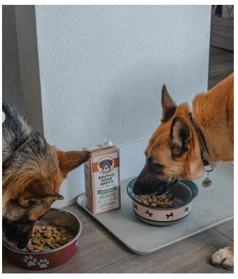 Brutus Bone Broth - Chicken Wet Dog Food