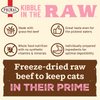 Primal Pet Foods Feline Kibble in the Raw Cat Food Beef Recipe