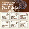Primal Pet Foods Feline Kibble in the Raw Cat Food Beef Recipe