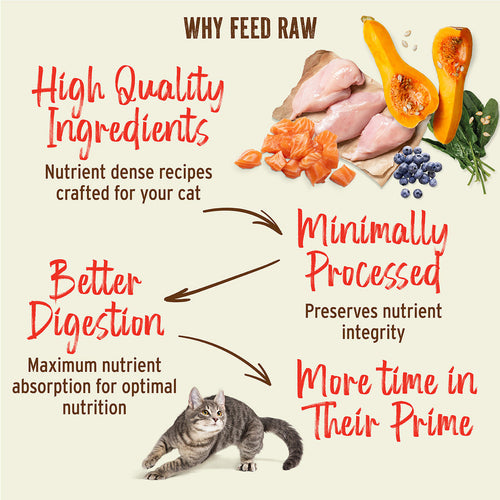 Primal Pet Foods Feline Kibble in the Raw Cat Food Beef Recipe
