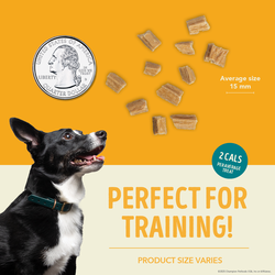 ACANA Jerky Bites Chicken Recipe Soft & Chewy Treats for Dogs