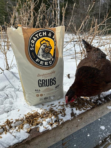 Scratch and Peck Feeds Grubs SnP Cluckin Good 8LB