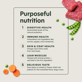 Nature's Variety Instinct Original Beef Dry Dog Food