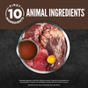 ORIJEN®  Chunks & Shreds, Regional Red Entrée Wet Cat Food