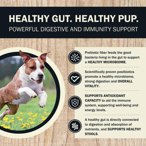 Redbarn Air Dried Powerfood Digestive Health Fish Recipe Dog Food