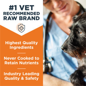 Nature's Variety Instinct Raw Frozen Beef Bites Dog Food