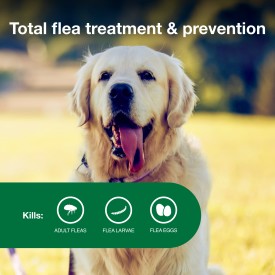 Advantage II Large Dog Vet-Recommended Flea Treatment & Prevention