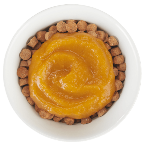 Tiki Dog™ Tummy Topper™ Pumpkin Puree & Ginger Dog Treat