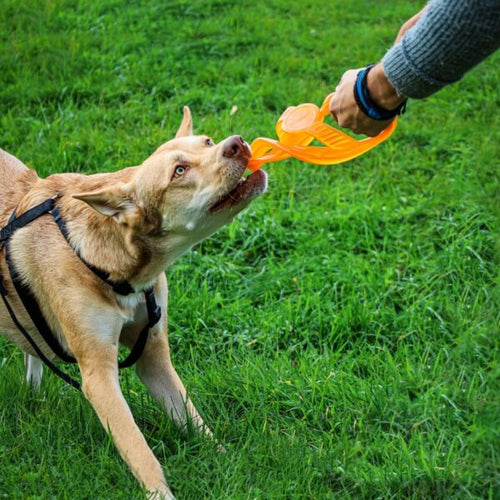 Bionic Toss-N-Tug Dog Toys