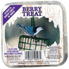 C&S Berry Treat Suet