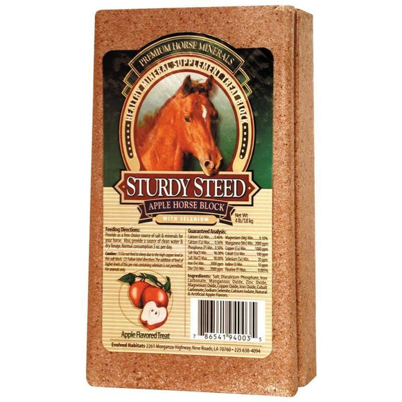 EVOLVED STURDY STEED HORSE SALT BLOCK (4 LB, APPLE)