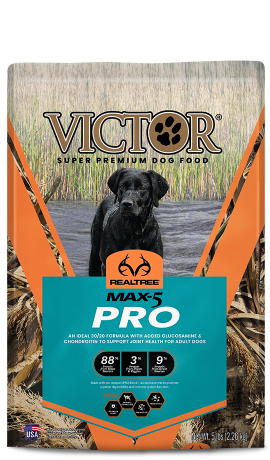 VICTOR Realtree® MAX-5 PRO for Dogs