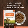 Nature's Variety Instinct Original Salmon Recipe Dry Cat Food (10-lb)